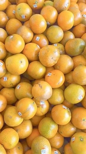 108 reactions · 11 shares | Local Florida produce is bountiful right now! Strawberries, citrus, peppers, greens, zucchini, potatoes and so much more! We’re so blessed to have this in our state 塞勒凜 | Detwiler's Farm Market | Facebook