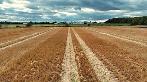 SANTÉ DES SOLS 🌱Semis direct sans maïs Semis direct, circulation contrôlée et engrais verts. Pour améliorer le rendement économique de ses champs et protéger encore mieux ses sols, la Ferme Clovis Gauthier et fils va plus loin : elle abandonne la culture du maïs. Nouveaux article et vidéo de la série Des sols d'exception à découvrir 🎥 www.lebulletin.com/sols-dexception Une collaboration avec Horsch et Syngenta Canada. #Compaction #SemisDirect #Efficacité #Rendements #Rentabilité #Blé #Cultures