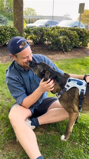 Say goodbye to tug-of-war walks! 👋 The Easy Walk Comfort Harness is designed to gently steer your pup without pulling—just comfy, controlled strolls every time. 🐕 | PetSafe Brand