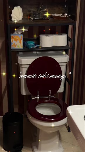 NYC Bathroom Makeover: Unique Toilet Seat Ideas