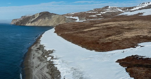 The Search for One of North America's Rarest Birds