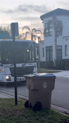 Python on a beautiful morning