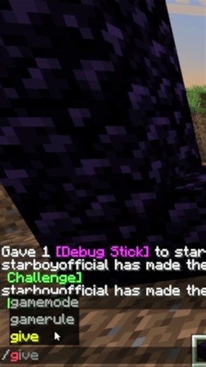 portal trick #minecraft #gaming #creator