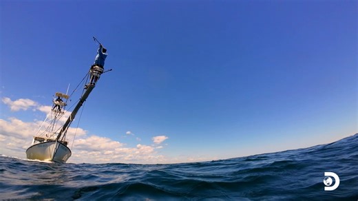 65K views · 236 reactions | It's time for these harpooners to take their shot  Don't miss the series premiere of #HarpoonHunters this Friday at 9p on Discovery! | Discovery | Facebook