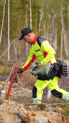 5K views | Säsongens viktigaste arbete är i full gång – att ge skogen en ny framtid  | Skogma | Facebook