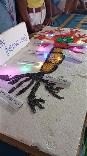 #neuron science project