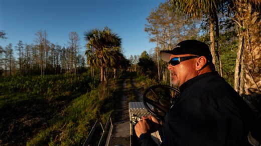 Keith Laakkonen Director, Corkscrew Swamp Sanctuary discusses benefits of the swamp to the Florida Wildlife Corridor