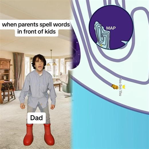 i'm dying of laughter, i can't stop laughing. #funny#doddlersofttiktok#funnyvideos#dueto