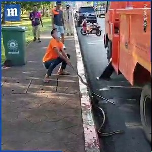 I wouldn’t want to be standing underneath this 😱🐍 via Newsflare | Daily Mail Video