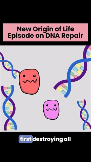 2.3K views · 59 reactions | DNA Repair is needed for every living organism in order for it to stay alive. Have you ever wondered how that could work? In the new Origin of Life Episode that is explained for anyone to understand. Check it out at the link in our bio. Isn’t this mechanism intricately designed? . . . . . . . . . . . #intelligentdesign #scienceisfun #scienceandfaith #biologystudent #biologylab #apologetics | Center for Science & Culture | Facebook