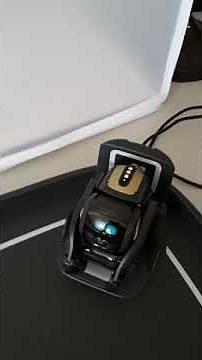 Why Vector is Flashing Yellow Lights