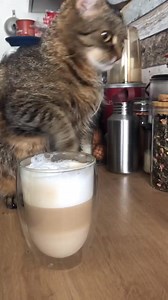 50K views · 1.7K reactions | Hisao Kanno on Reels | Facebook