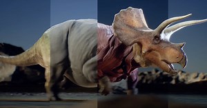 Check Out This Triceratops Muscle Simulation Set Up in Ziva & UE5
