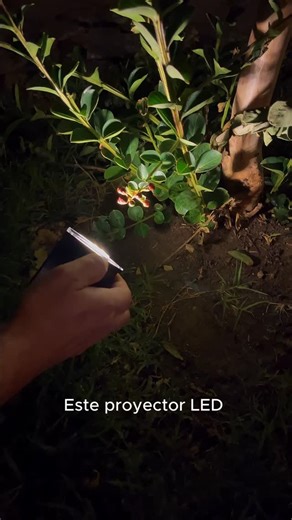 Fivisa on Instagram: "Iluminá tu jardín sin cables y sin complicaciones ✨ Este proyector solar con pincho es orientable, así que podés dirigir el punto de luz hacia arriba o hacia abajo para lograr el efecto que quieras. Además, cuenta con dos tonalidades: luz cálida para un ambiente más decorativo, o luz fría para mayor definición. Disfrutá de una iluminación práctica y eficiente donde vos decidas. Código: IX3072 #IluminaciónExterior #LuzSolar #Jardín #SinCables #IlumináTuExterior Fivisa"