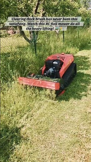 Taming the Overgrowth: Remote Control Flail Mower in Action!