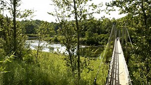 Surplus public land in Michigan going on auction block