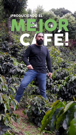 ¡CINCO TIPS! 🤠 Para tu cultivo de café. Prepará tu cosecha 25/26. #agrocentro #Café #T#tipsagricultura | Agrocentro Guatemala