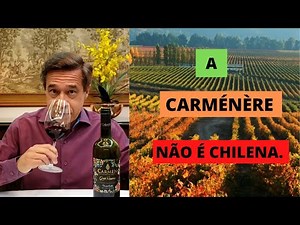 Carménère: its origin, history and characteristics.