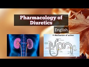 #34 Diuretics Pharmacology | Classification-based Mechanism of Action