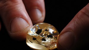 The Strange Afterlife of the Apollo 11 Moon Rocks