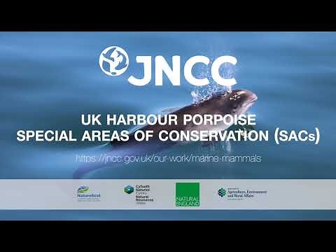 UK Harbour Porpoise Special Areas of Conservation (SACs)