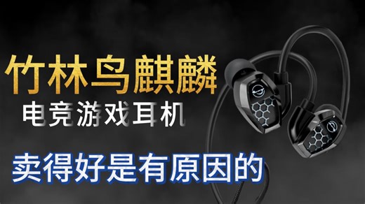 【百元电竞黑马】竹林鸟麒麟 ZG1 深度测评：RGB 灯效 + 双动圈，游戏音质真香？