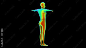 Loopable turntable of Human body scan by infrared rays measure with alpha channel footage motion background.