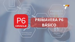 Primavera Project – P6 – Básico(20h) – Treinar