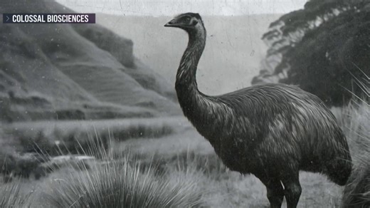 Researchers launch new effort to revive extinct species