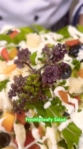 Fresh leafy salad‪@CookingwithChefFarrukh‬ #food #famous #recipe