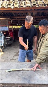 ✅ bushcraft survival skills Jungle Ghost 🧼 #camping #survival #OKAFacts #outdoors #lifehack