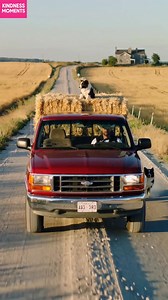 2.9M views · 81K reactions | Chasing Love on a Farm Road Chasing Love on a Farm Road Generated using Kling AI . . . (For entertainment purposes only. Consult professionals if guidance on activities is presented. No brand affiliation is implied if any are shown. If inspired by true events, creative adaptations may be included. Content may include public footage.) | Fabiosa Fitness | Facebook