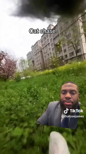 Hilarious Cat Chase Caught on GoPro!