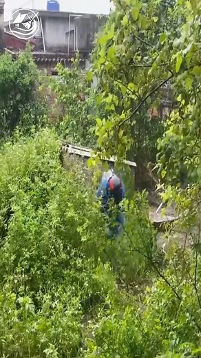 8.7K views · 191 reactions | Clean up satisfaction #EpicCleanup #HistoryUncovered #LawnTransformation #cleaning #clean | Clean Up TV | Facebook