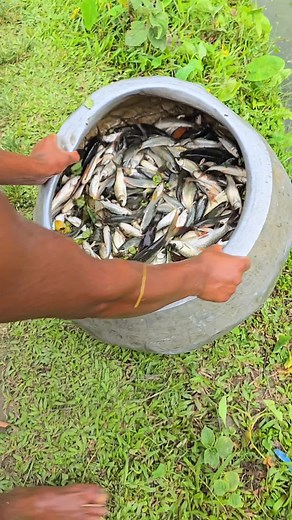 Fishing Adventure Bd on TikTok