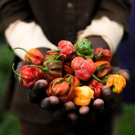 Evolving Philanthropy for Collective Action (SSIR)