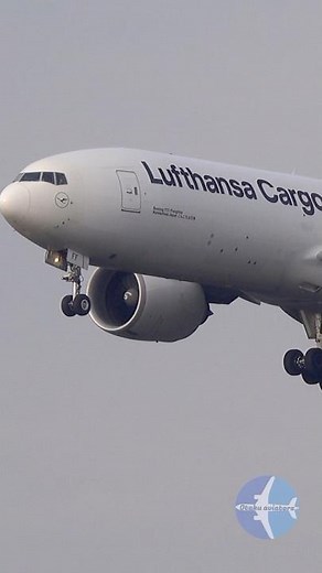 Beautiful Lufthansa Cargo Boeing 777-F Landing in Stunning Light at Frankfurt Airport!