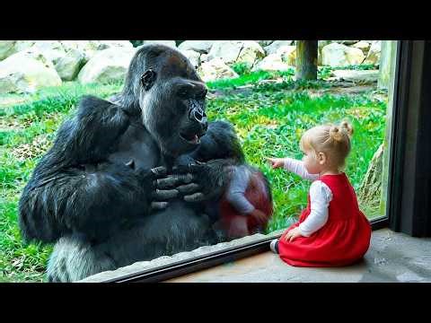 Wild Animals Reacting to Babies in the Funniest Ways! 😂 Funny ANIMALS Video 2026