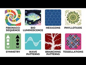 Every Sacred Pattern Found in Nature EXPLAINED in 12 Minutes