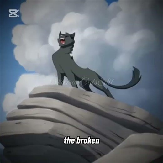 Warrior Cats edit // born for this // credit in desc // #warriorcats