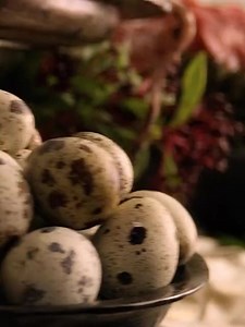 Spartacus Season 1 #Spartacus | Spartacus Zone