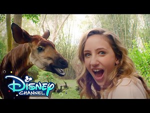 Sydney to the Max Cast Learns About Okapi! | Celebrate Earth Day | Disney Channel