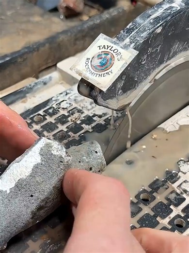 Agatized Coral Geode Revealed: A Stunning Natural Beauty