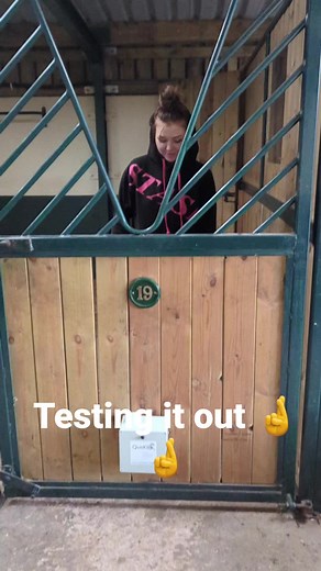 3M views · 9.7K reactions | Testing out the quitkick  | Stash Stables Livery and Dog Park | Facebook