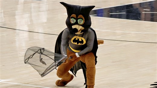 Bat stoppage at Spurs game ends with the Coyote saving the day while donning Batman costume