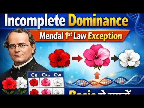 Incomplete dominance mendal is 1st law exception// अपूर्ण प्रभावित क्या होती है basic से समझे