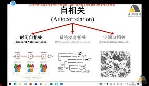 结构方程模型（SEM）高阶应用——空间自相关数据分析技术