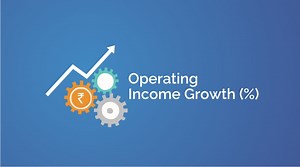 What Is Meant By Operating Income Growth Ratio | SE Blog