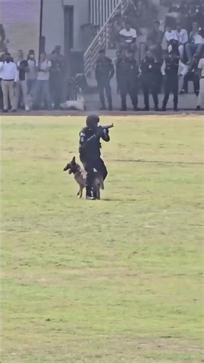 Indian Army NSG Black Cat Commandos With K9 Unit #youtubeshorts #indian #india #indianarmy #army#dog