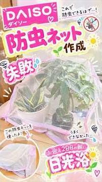 初心者による植活2日目🪴防虫ネット作成してみた